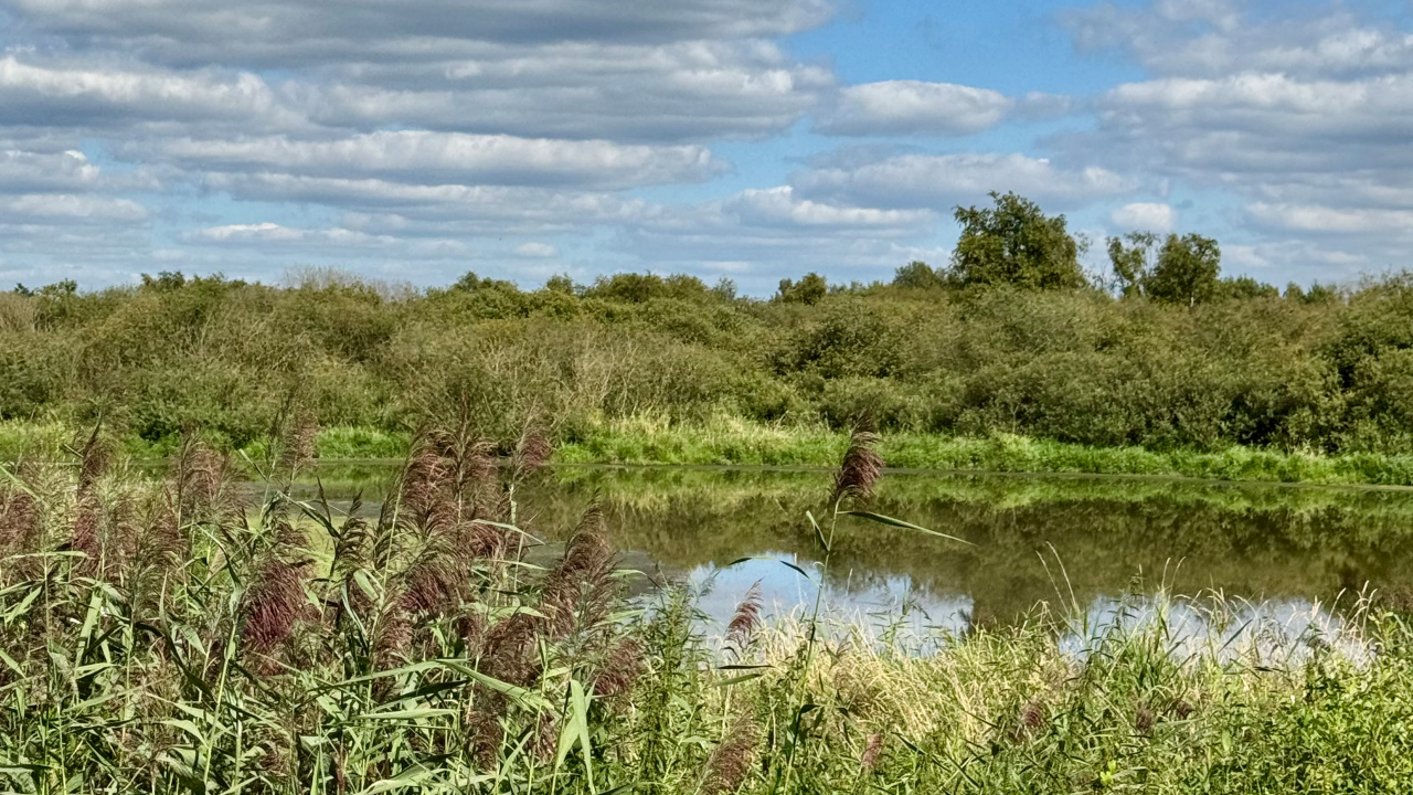 Torfbecken inmitten grüner Natur, darüber ein Himmel mit Wolken.