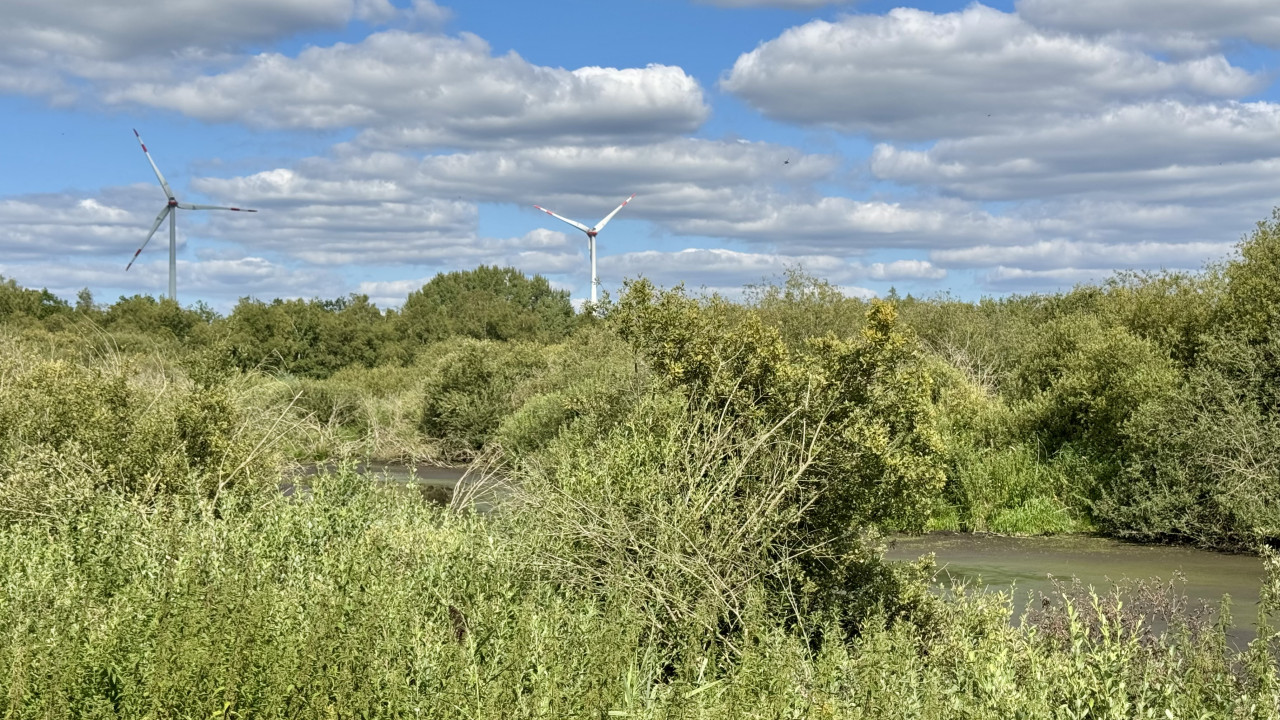 Trofbecken am Edewechterdamm umgeben von grüner Natur und zwei Windrädern.