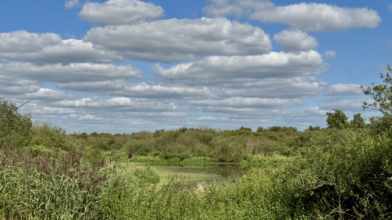 Torfbecken inmitten grüner Natur, darüber ein Himmel mit Wolken.
