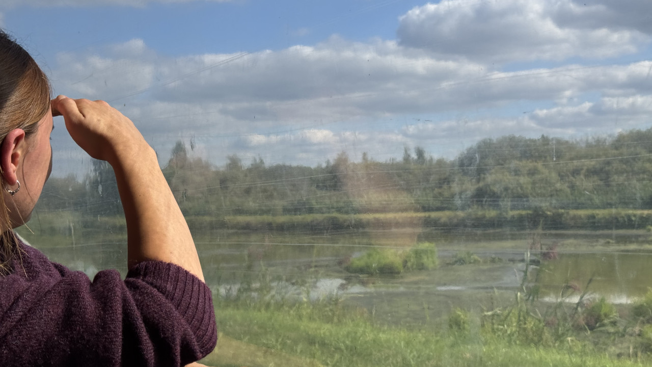 Frau schaut aus dem Fenser in die Natur.