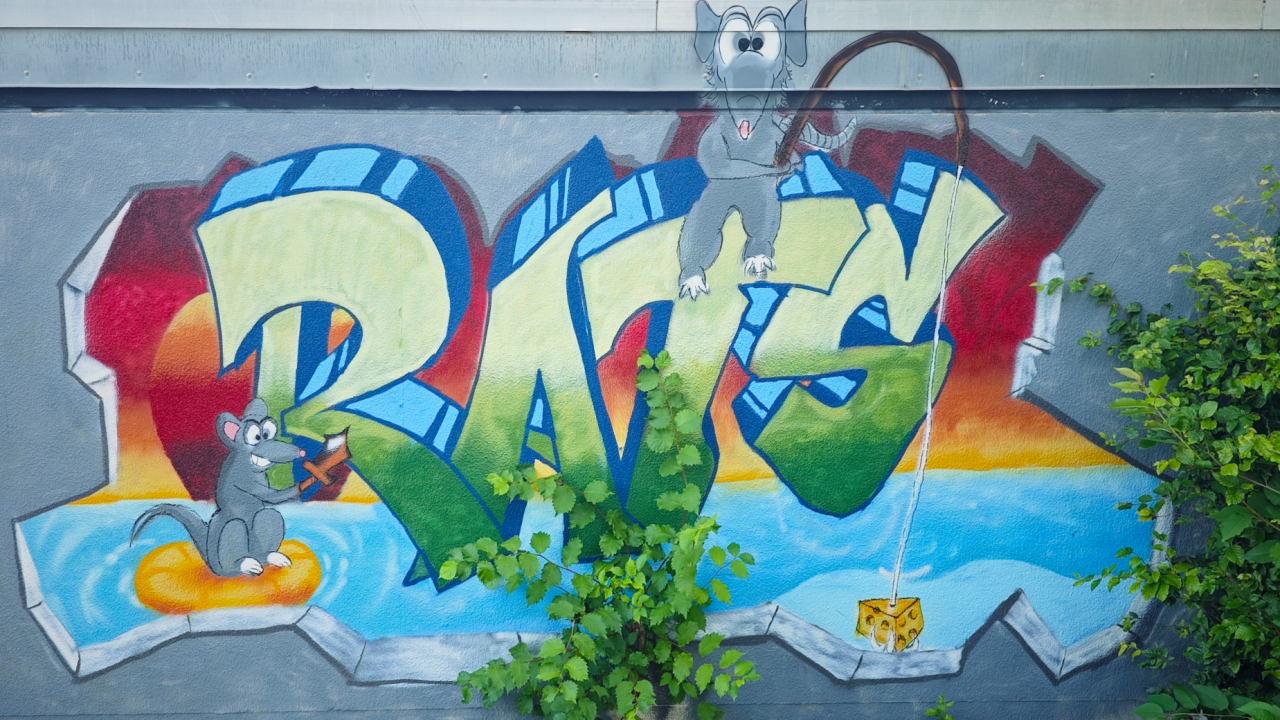 Garagen-Graffitis