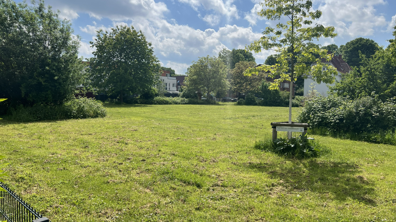 Grüne Wiese mit Büschen und Bäumen