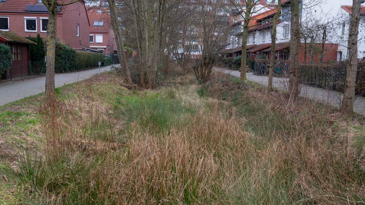 Weidedamm
